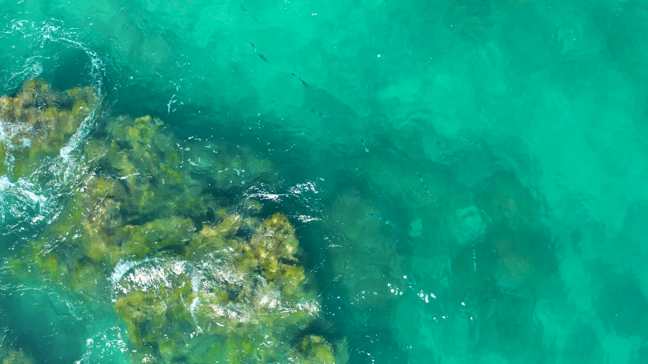Overhead view of clear turquoise water in East Cape BCS Mexico, with green-brown submerged rocks along the left side and no visible people.