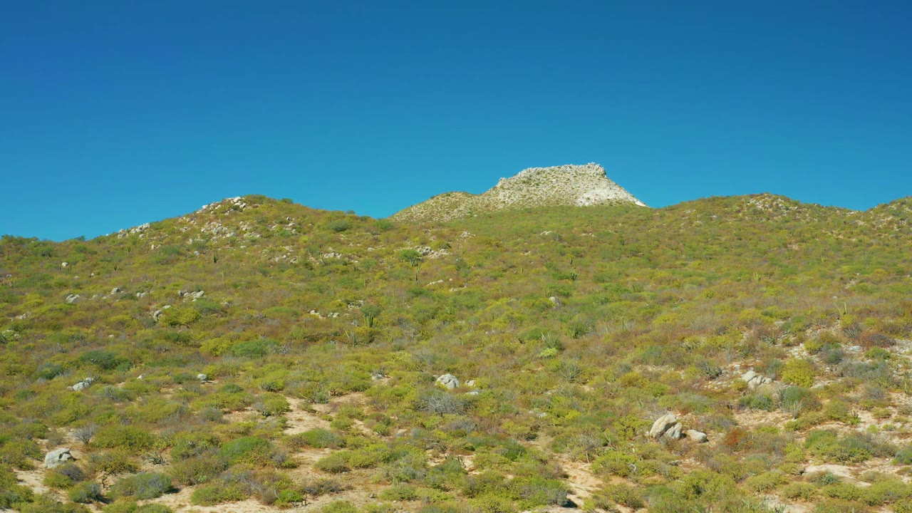 East Cape BCS Mexico hillside at 0:01 with scrubby vegetation across the slope, small boulders in the foreground, a pale rocky ridge outcrop, and no visible people.