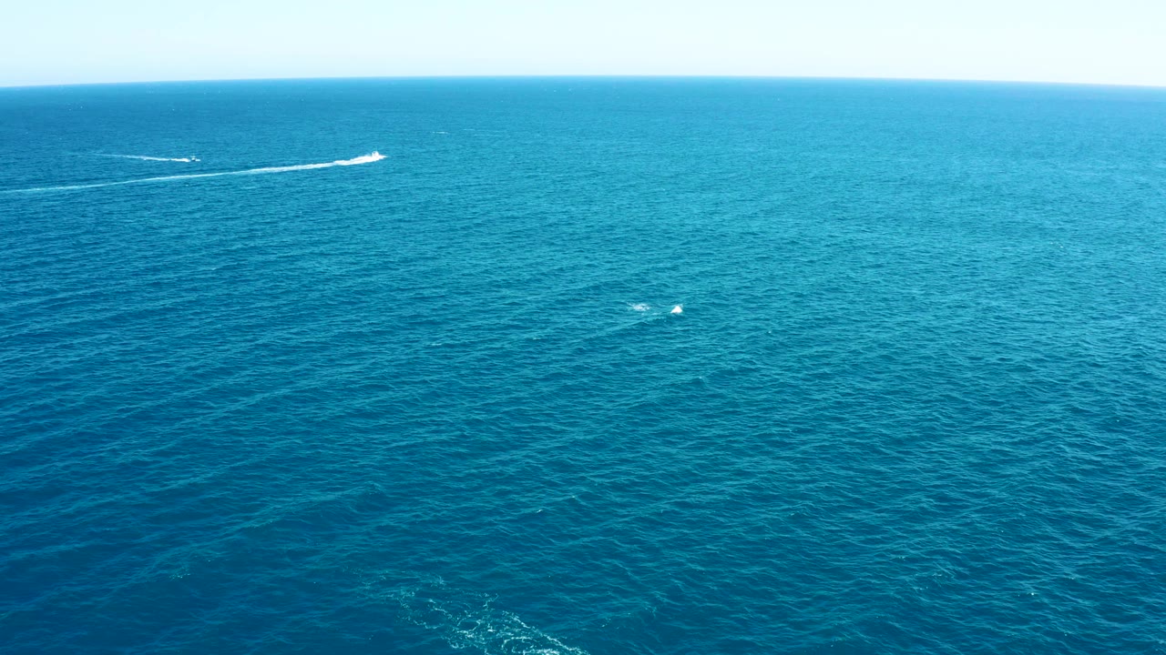 Aerial view of East Cape, Baja California Sur water with the white boat wake stretched near the top of frame and scattered surfacing splashes lower in the ocean, with no visible people.
