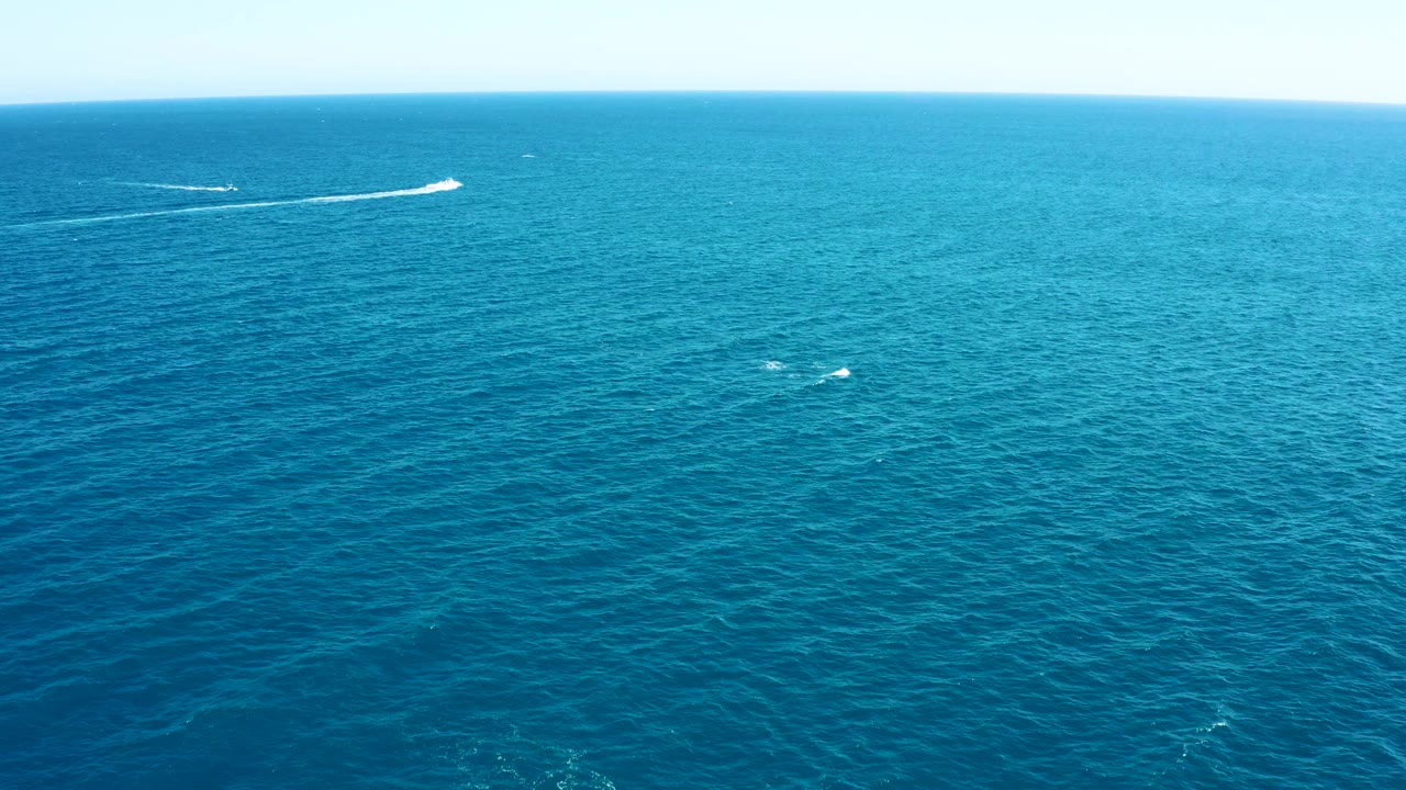 East Cape, Baja California Sur open water fills the frame, with a bright white wake from a small boat near the upper edge and low white splashes from marine animals farther down, with no visible people.