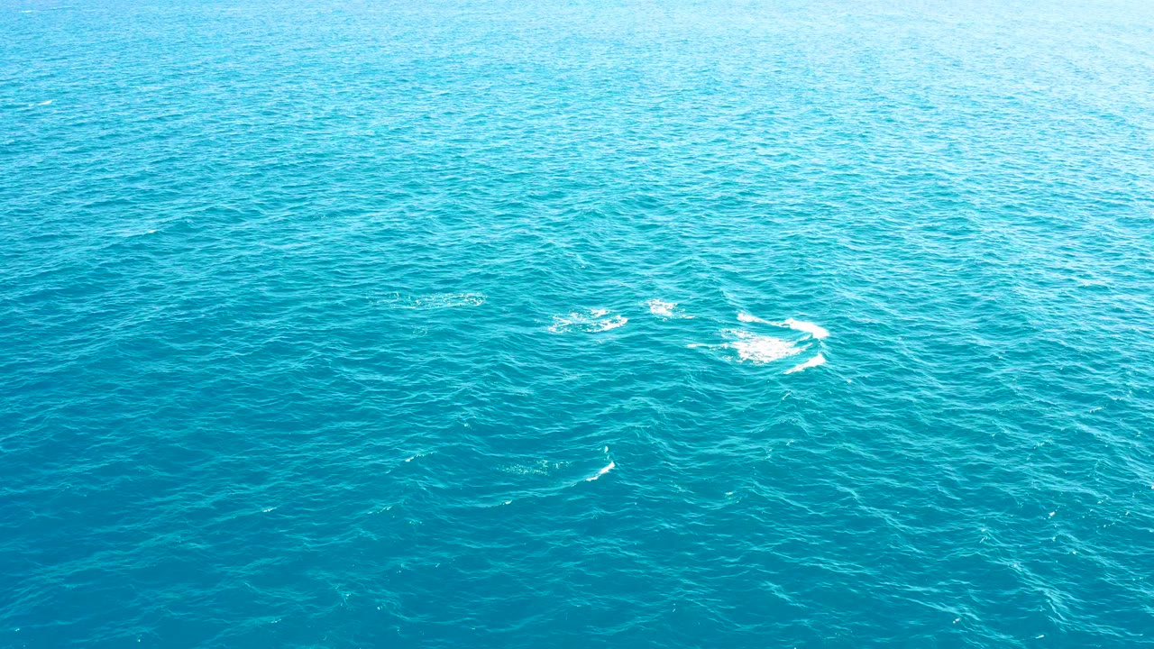 Dolphins splashing in turquoise ocean water from above