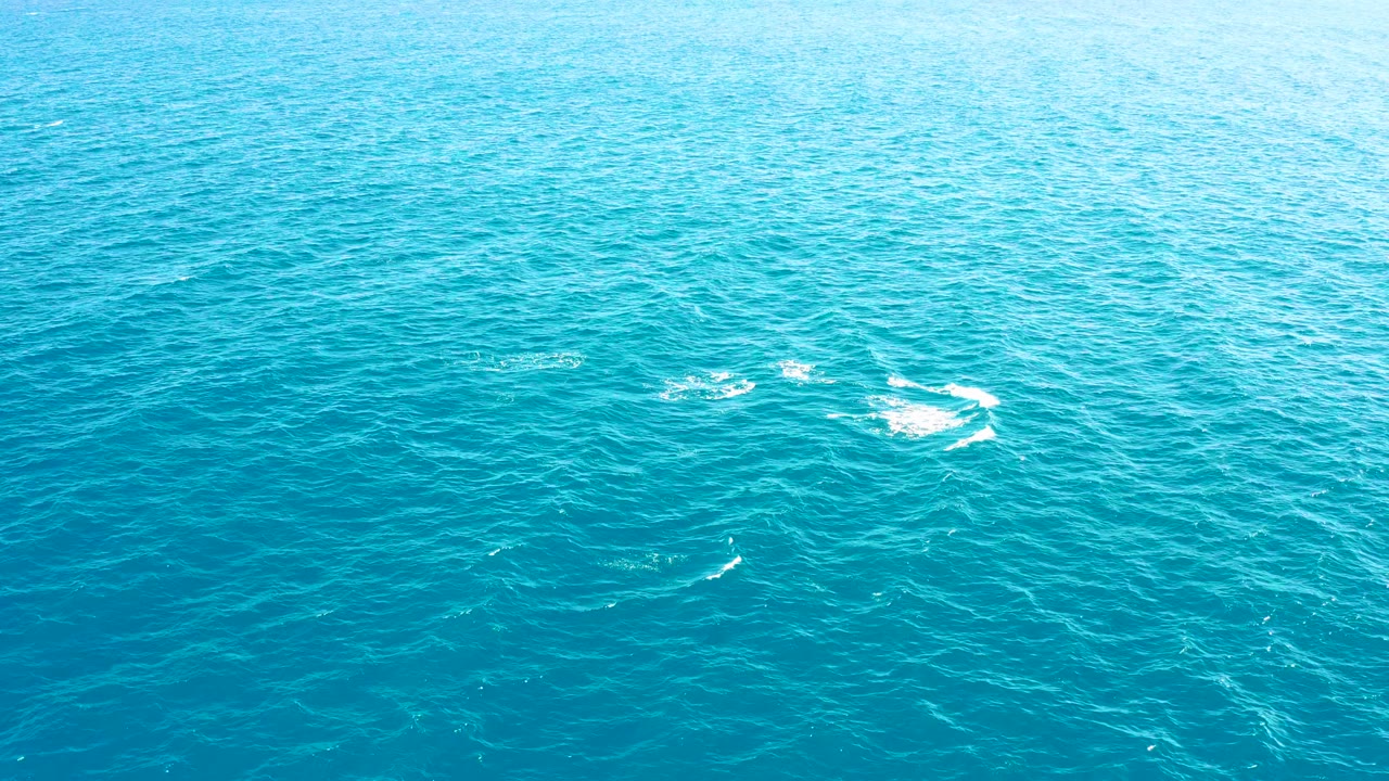 Aerial frame over East Cape ocean water with dolphins creating scattered white splashes across a wide turquoise surface and no visible people.