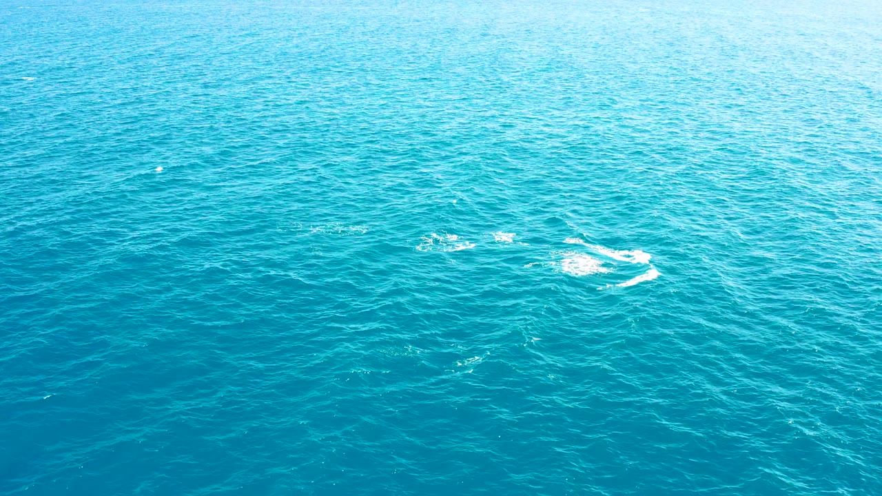 Dolphins break the surface near the upper right of a bright turquoise ocean frame in East Cape, Baja California Sur, with no boats or visible people.