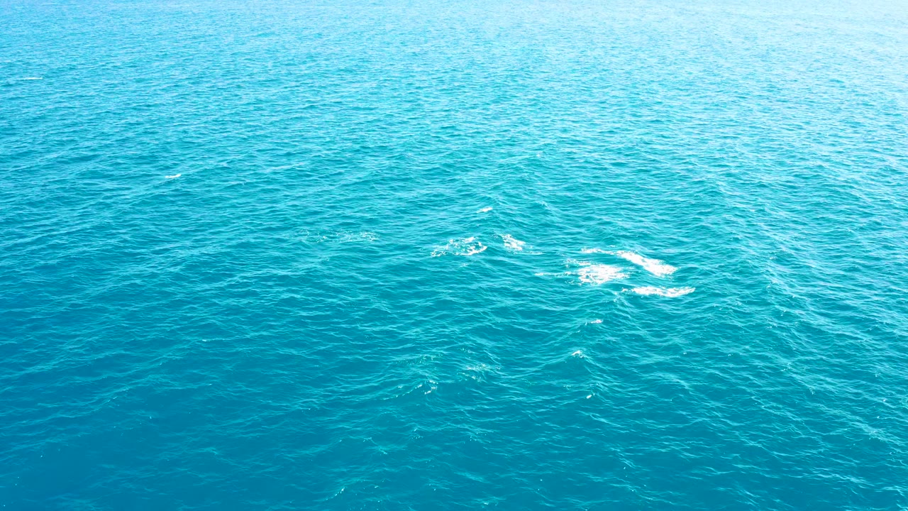 Wide aerial view of open turquoise sea in East Cape with dolphin splashes near the center-left and a clean frame free of visible people.