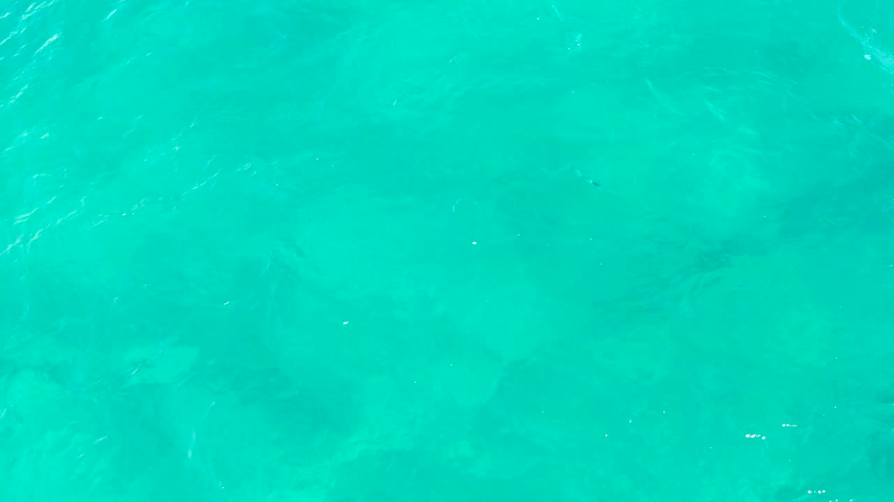Overhead view of turquoise shallow ocean water in East Cape BCS Mexico, with faint fish shapes under rippled surface texture and no visible people.
