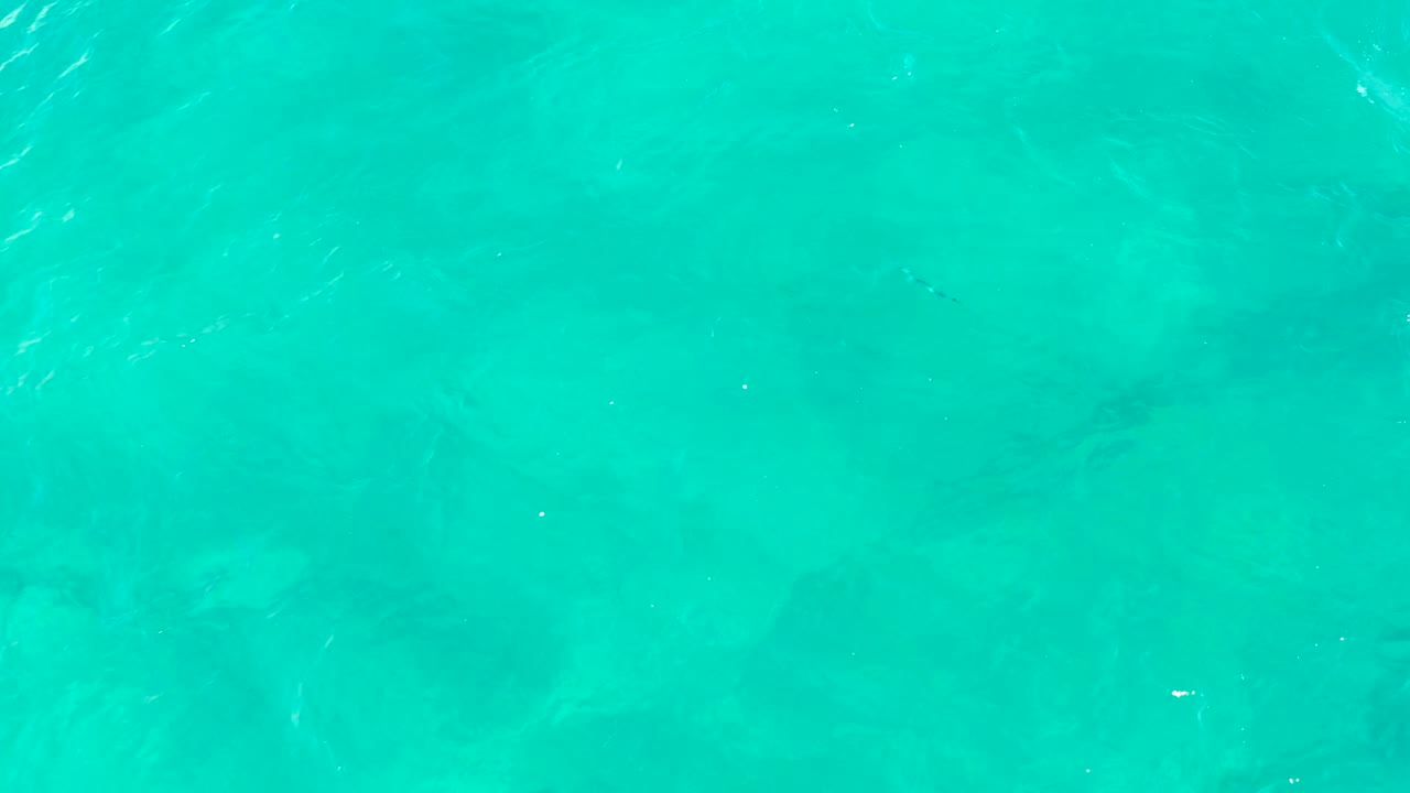 Top-down frame of clear turquoise water in East Cape BCS Mexico, with small dark fish shapes lower in the image and no visible people.
