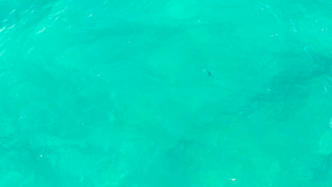 Overhead turquoise ocean surface in East Cape BCS Mexico, with ripples, faint underwater shadows, sparse fish shapes, and no visible people.