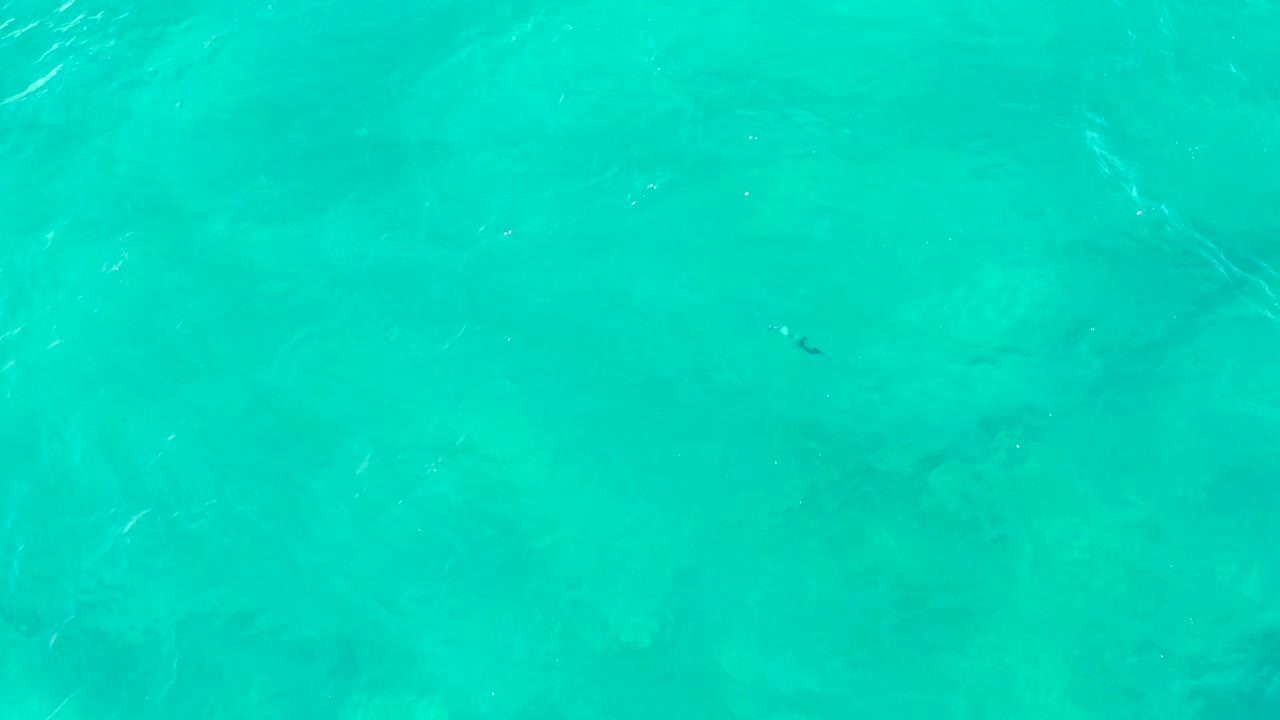 Turquoise water with soft ripples and a few tiny fish marks.