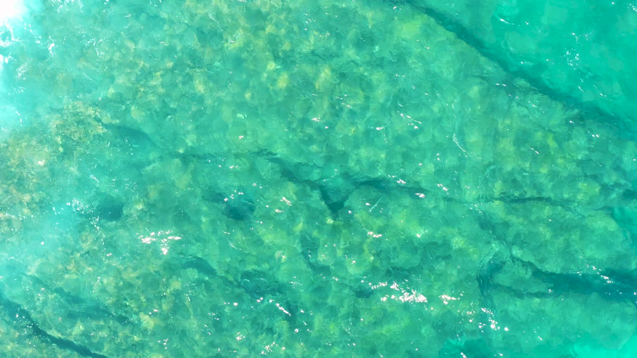 Overhead view of pale submerged rocks beneath green-blue water in East Cape, with a darker seam cutting diagonally through the seabed and no visible people.