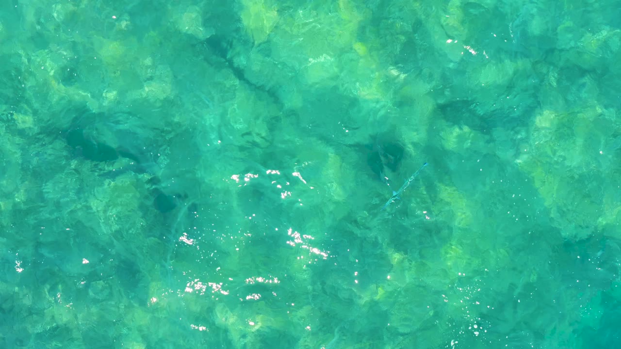 At 0:01, the East Cape ocean surface carries small white highlights over turquoise water, with darker submerged patches visible below and no visible people.