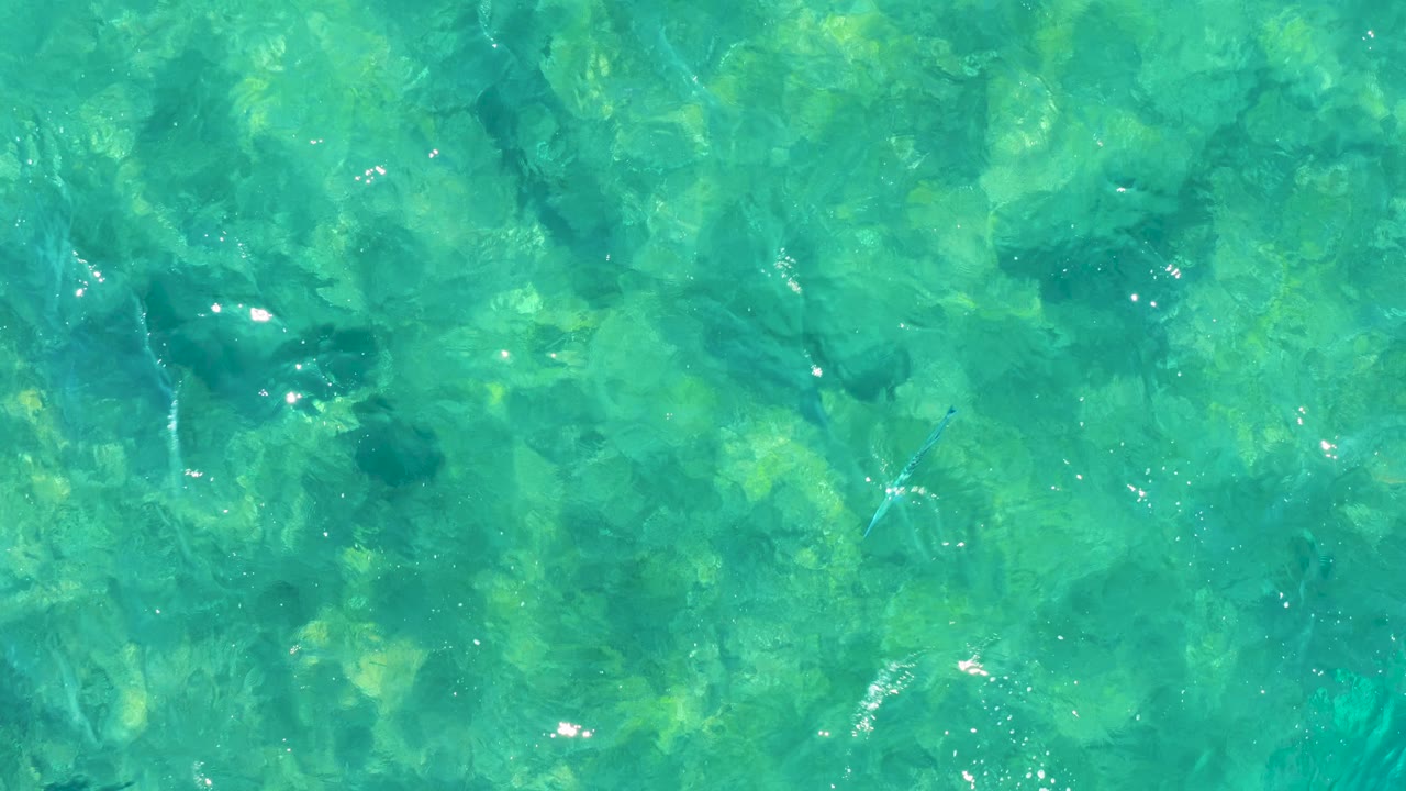 At 0:02, transparent turquoise sea in East Cape, Baja California Sur reveals mottled green underwater forms beneath scattered surface glints and no visible people.
