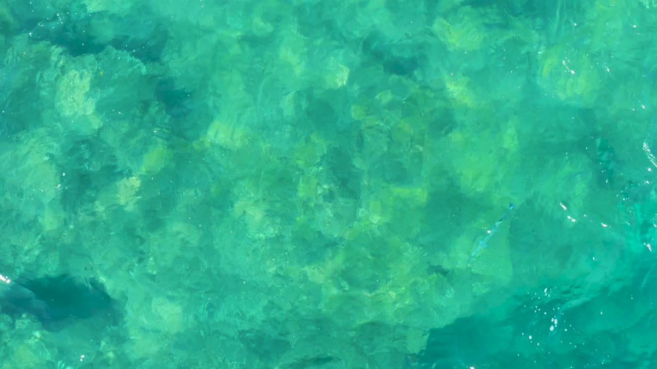 Turquoise water surface with darker underwater patches and small highlights.