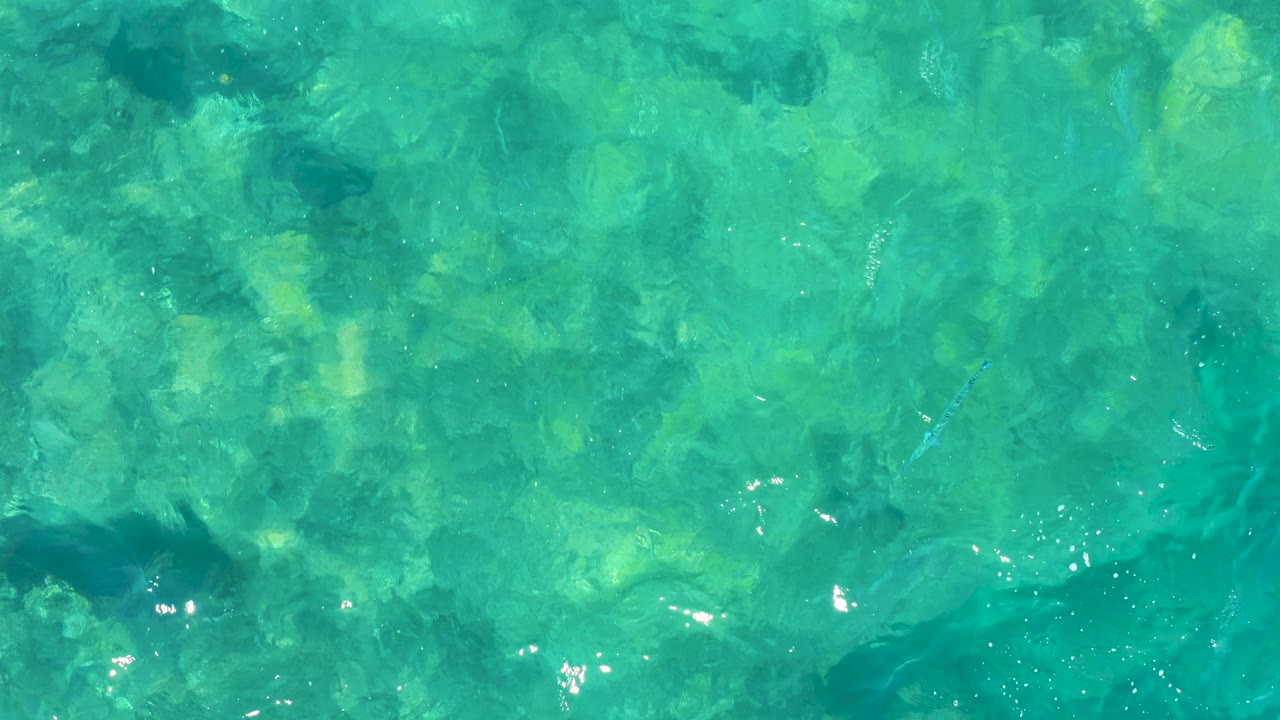Top-down frame of shallow green-turquoise sea near East Cape, with mottled underwater rocks or coral shapes, light shimmer, and no visible people.