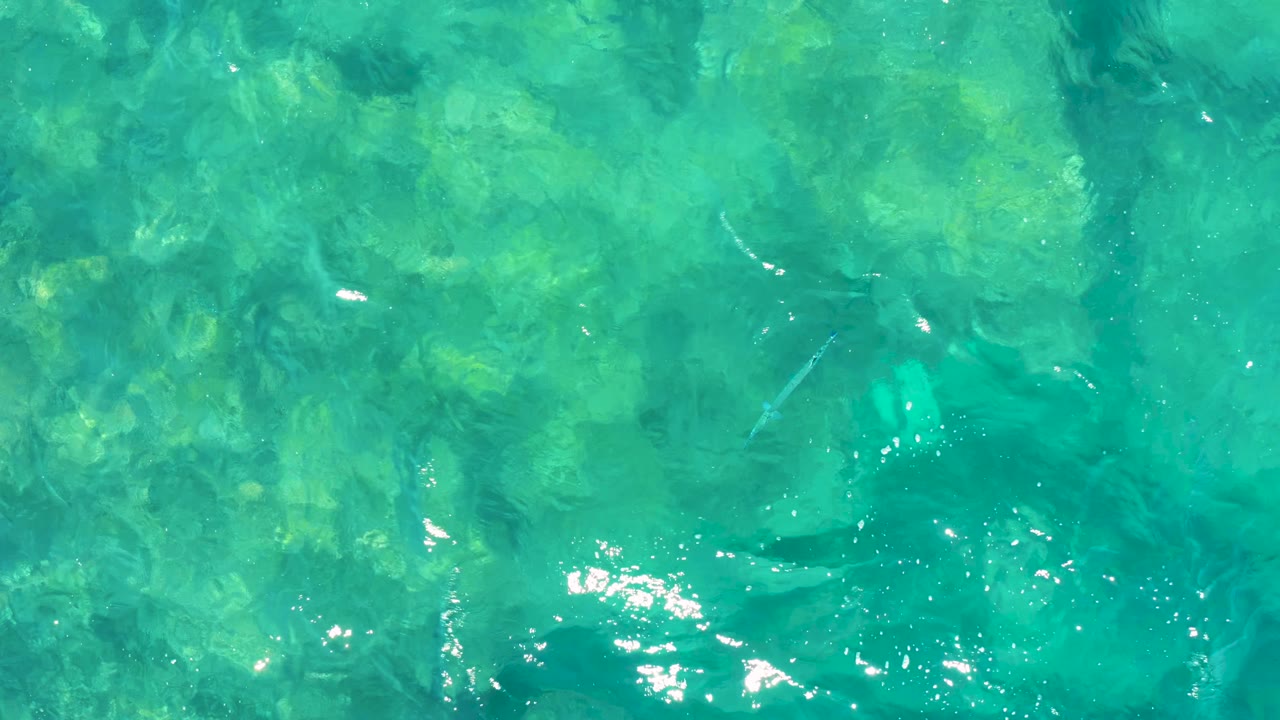 Clear green-blue ocean water in East Cape BCS Mexico shows soft ripples, pale submerged rock shapes, and scattered white highlights with no visible people.
