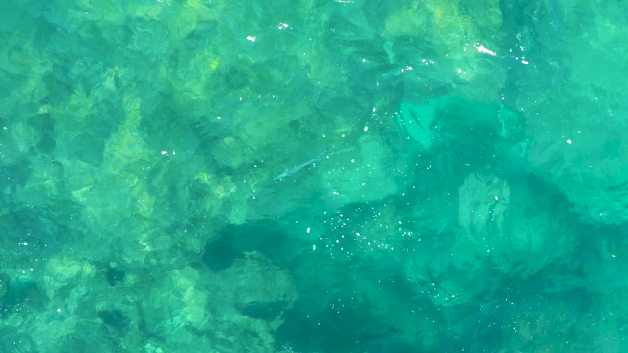 Overhead frame of clear turquoise water in East Cape, Baja California Sur, showing underwater rocks, scattered white light glints, and no visible people.