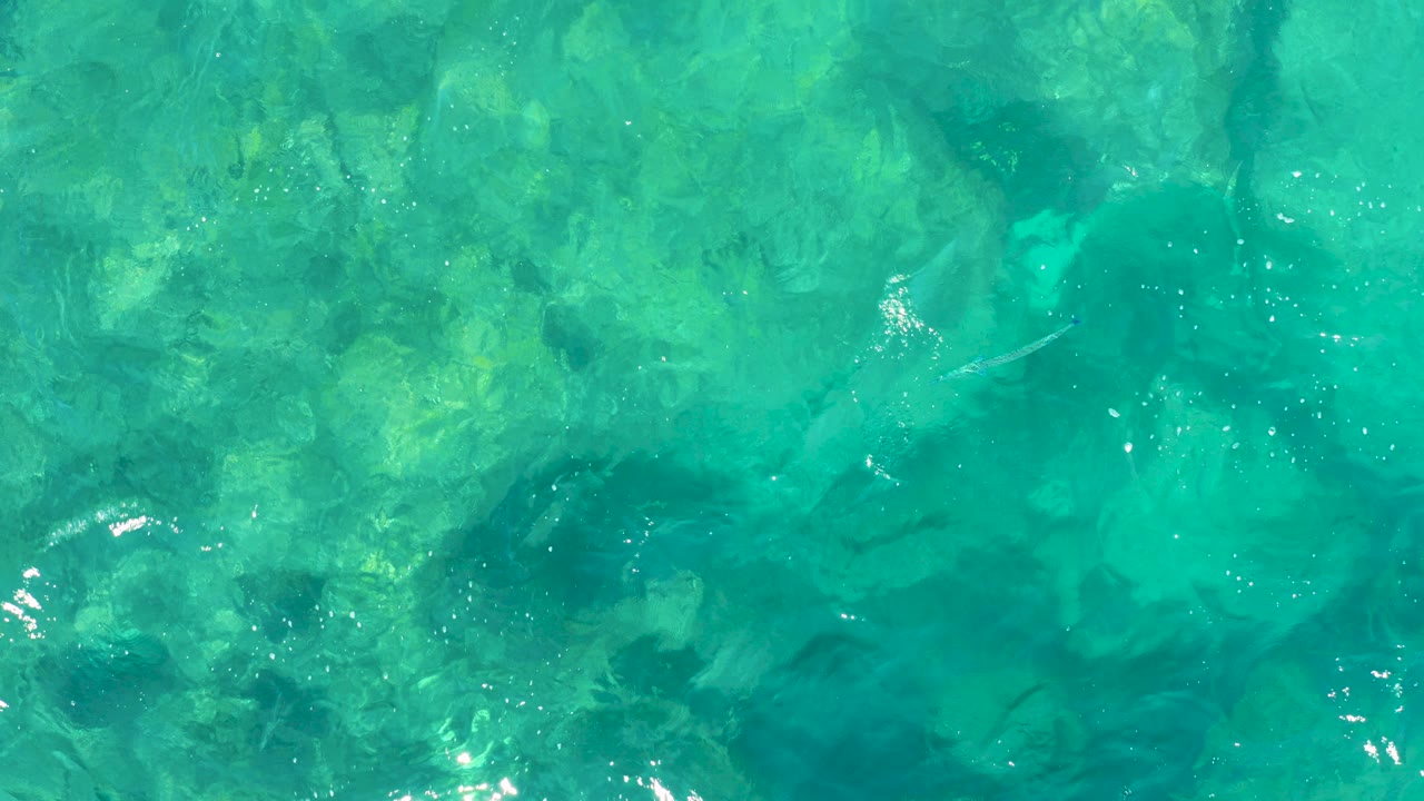 Clear turquoise water over submerged rocks with small fish.