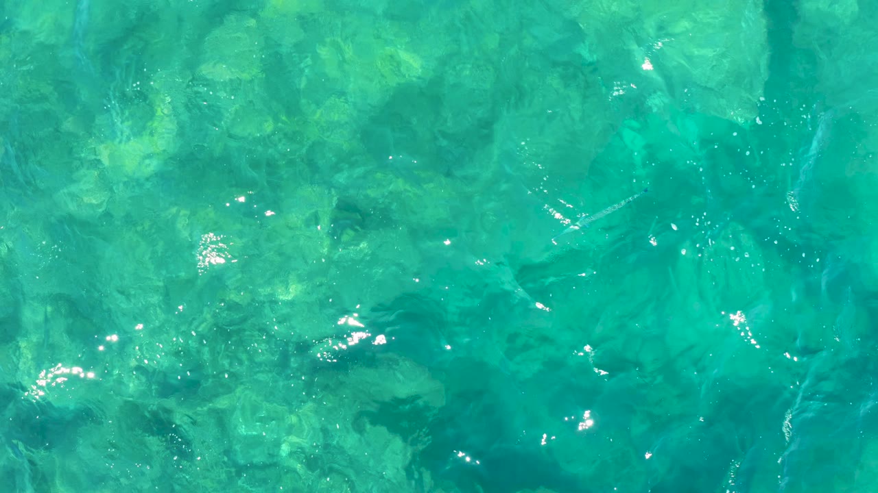 Overhead frame from East Cape showing turquoise sea, greenish submerged rock patches, small fish marks, surface shimmer, and no visible people.