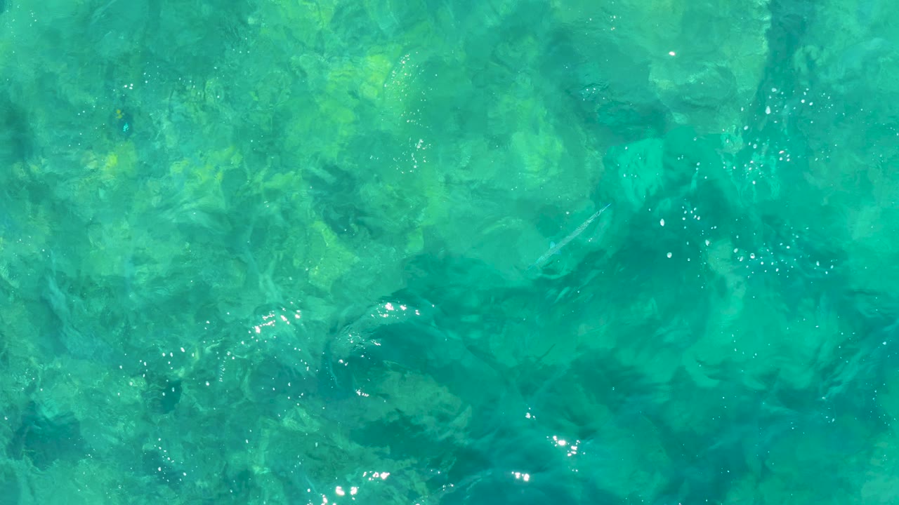 Blue-green shallow water in Baja California Sur viewed from above, with mottled underwater rocks, small fish, rippled highlights, and no visible people.
