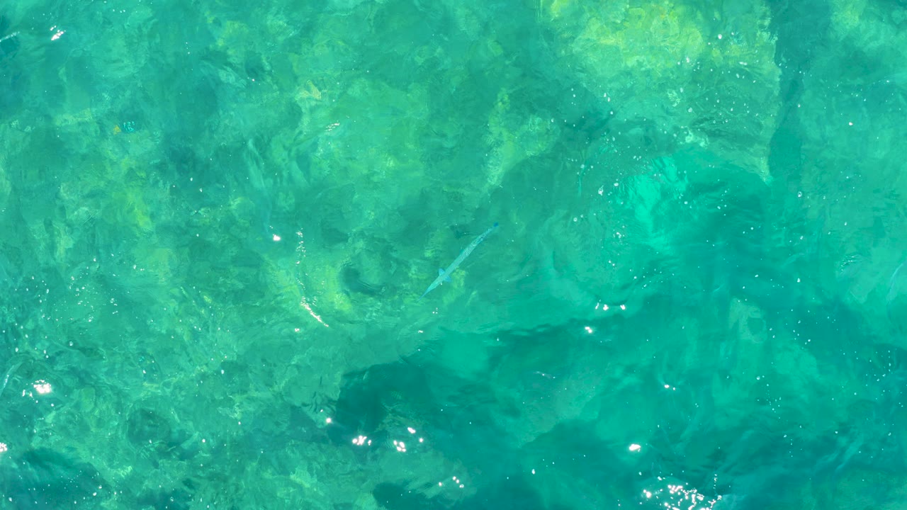 Clear turquoise water over a shallow seabed with small fish shapes.