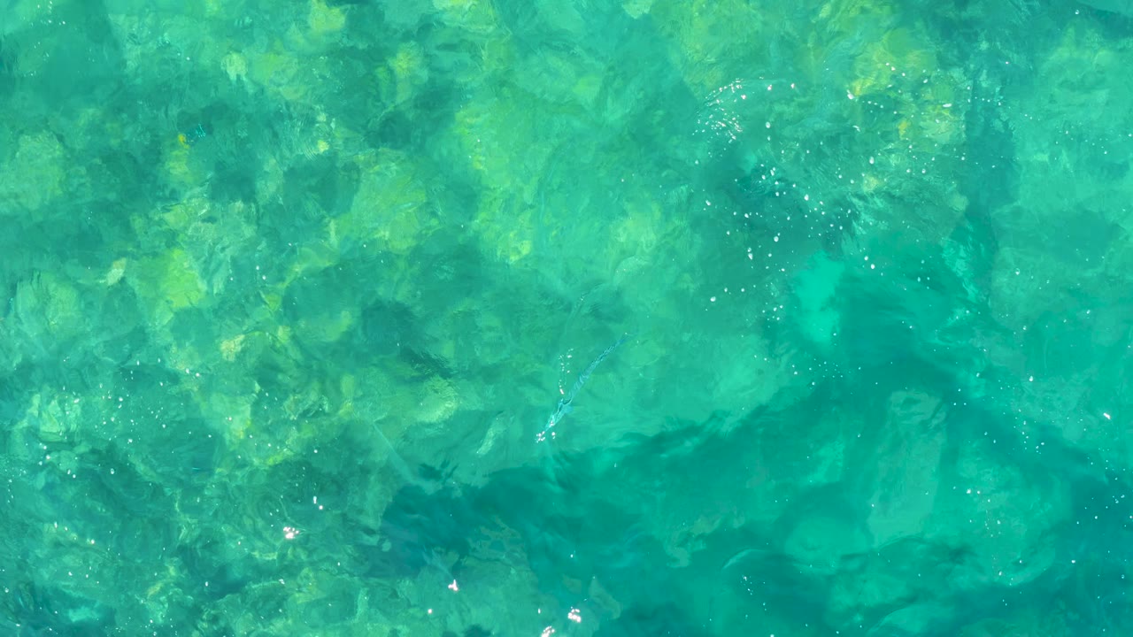 Top-down Baja California Sur water view with turquoise surface ripples, yellow-green seabed areas, tiny fish-like streaks, and no visible people.