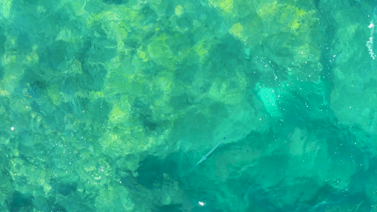 Overhead view of clear shallow sea in Baja California Sur, with mottled rocks or sea grass below, scattered small fish shapes, and no visible people.