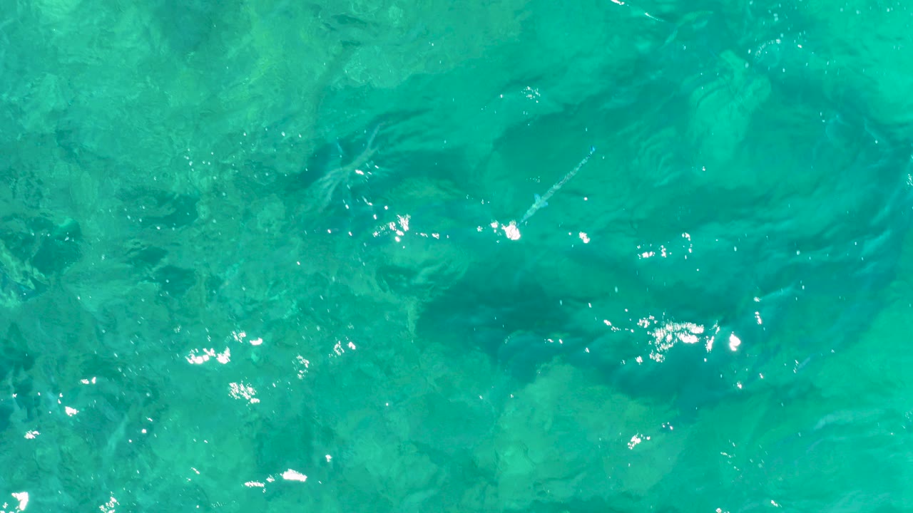 Overhead view of turquoise ocean water in Baja California Sur with submerged rocks, small ripples, bright surface glints, and no visible people.