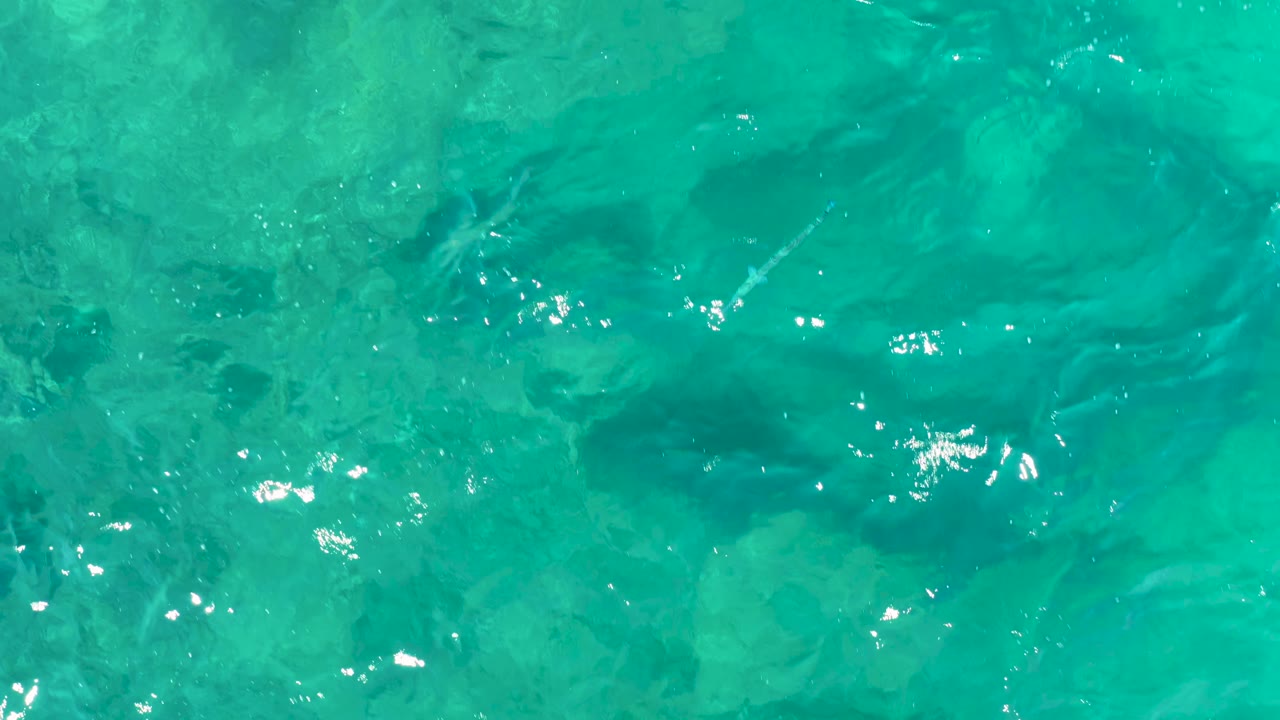 Clear blue-green water with darker rock patches beneath ripples.