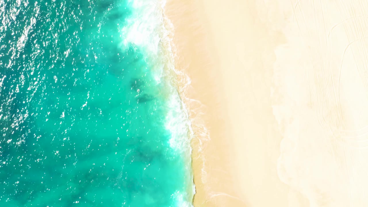 Overhead view of the East Cape beach where turquoise water runs down the left side, pale sand spreads across the right, and thin foam traces the shore with no visible people.