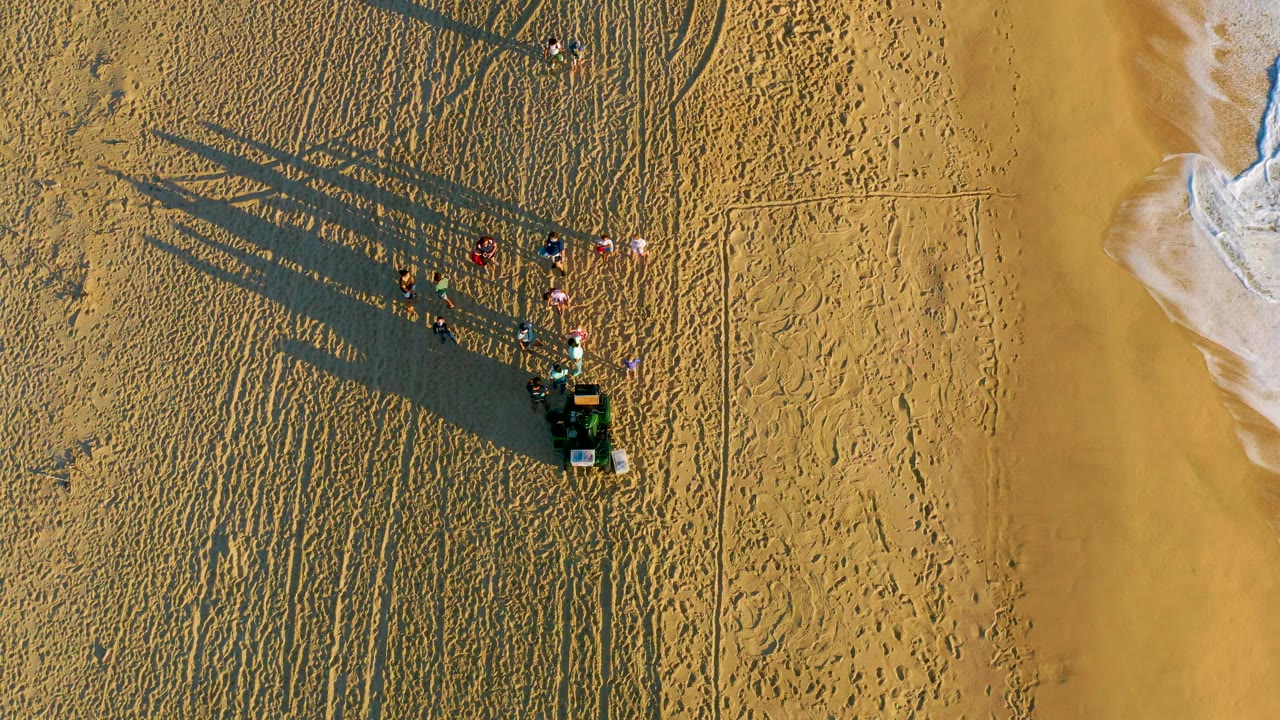The frame holds a high overhead angle on Diamante Cabo San Lucas sand, with the people and their shadows left of the shoreline and a curved patch of white foam at the right.