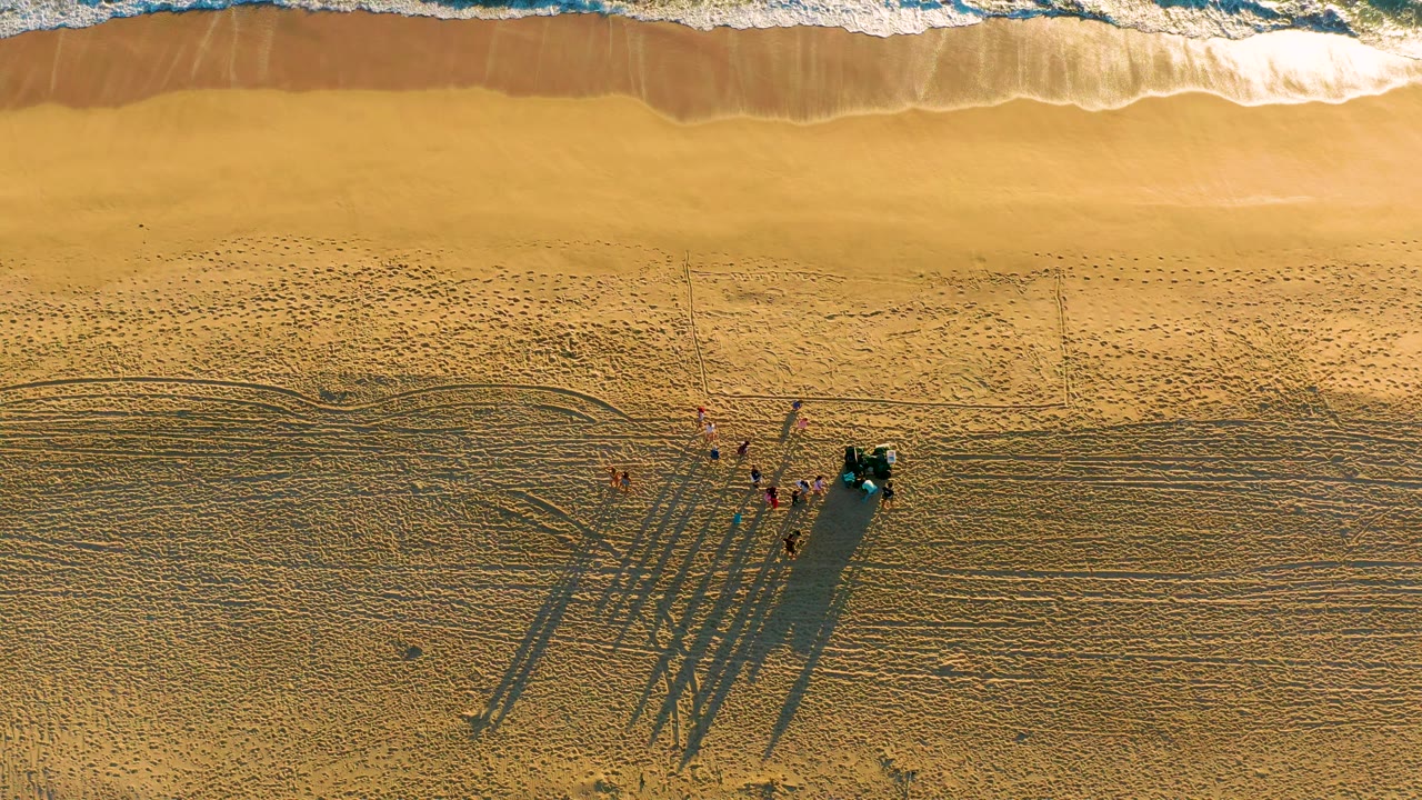 Aerial beach frame with turquoise surf and workers near a vehicle on sand.
