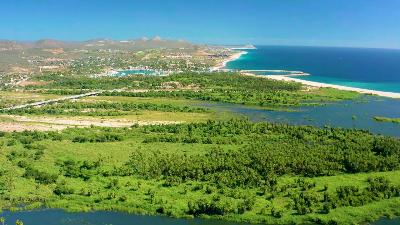 Wide elevated view in San Jose Del Cabo showing dense green vegetation, a road with tiny vehicles, pale beach sand, deep blue ocean, distant hills, and no visible people.