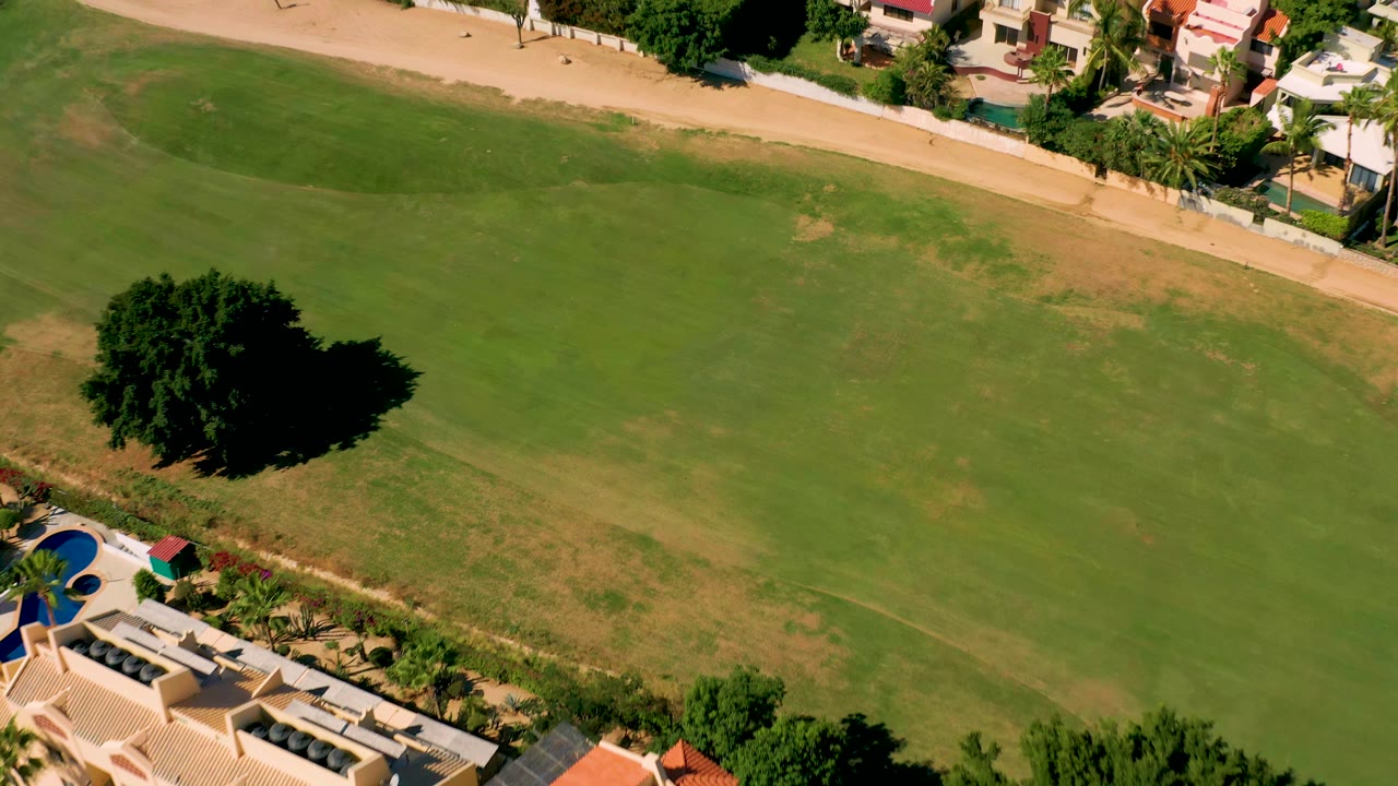 Drone view over green field with a single tree shadow and residential homes along the border.