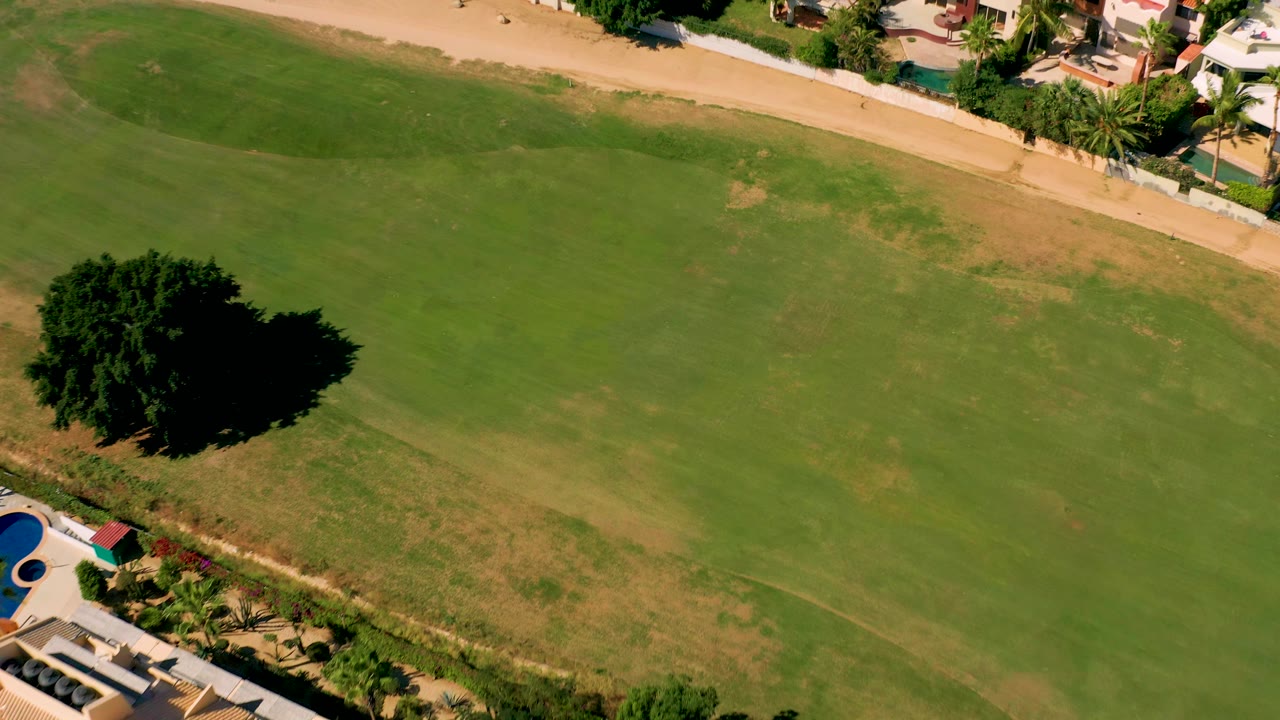 Aerial frame over San Jose Del Cabo with the lone tree and shadow left of center, a wide green field, tan path and homes along the upper edge, and no visible people.