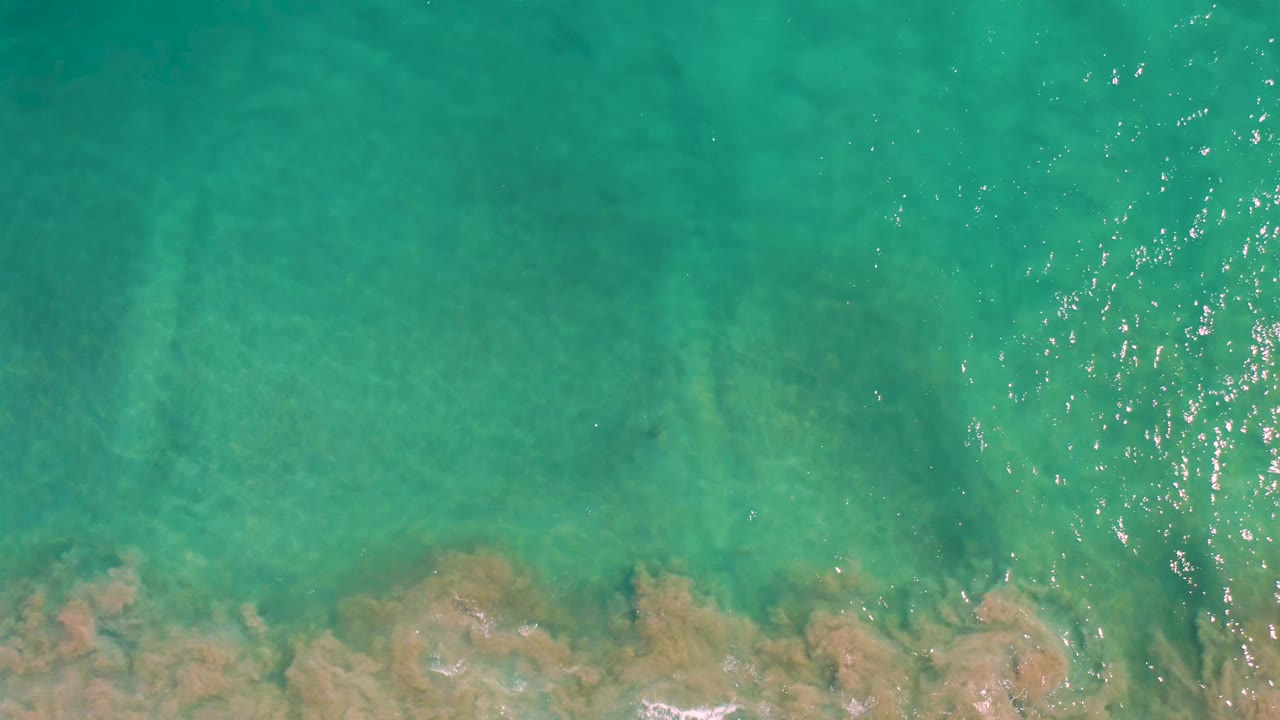 Clear shallow water with sunlight ripples over rocks