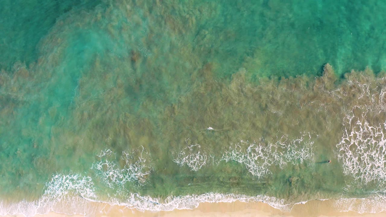 Overhead view of turquoise water and white surf reaching a sandy beach in San Jose del Cabo, with no visible people.