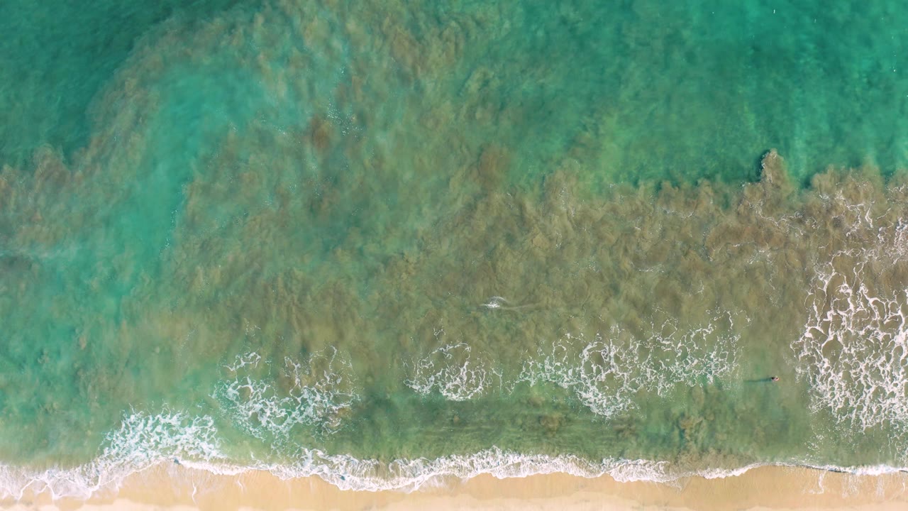 Top-down San Jose del Cabo beach view with a broad green-blue water area, scattered white surf, and pale sand along the bottom, with no visible people.