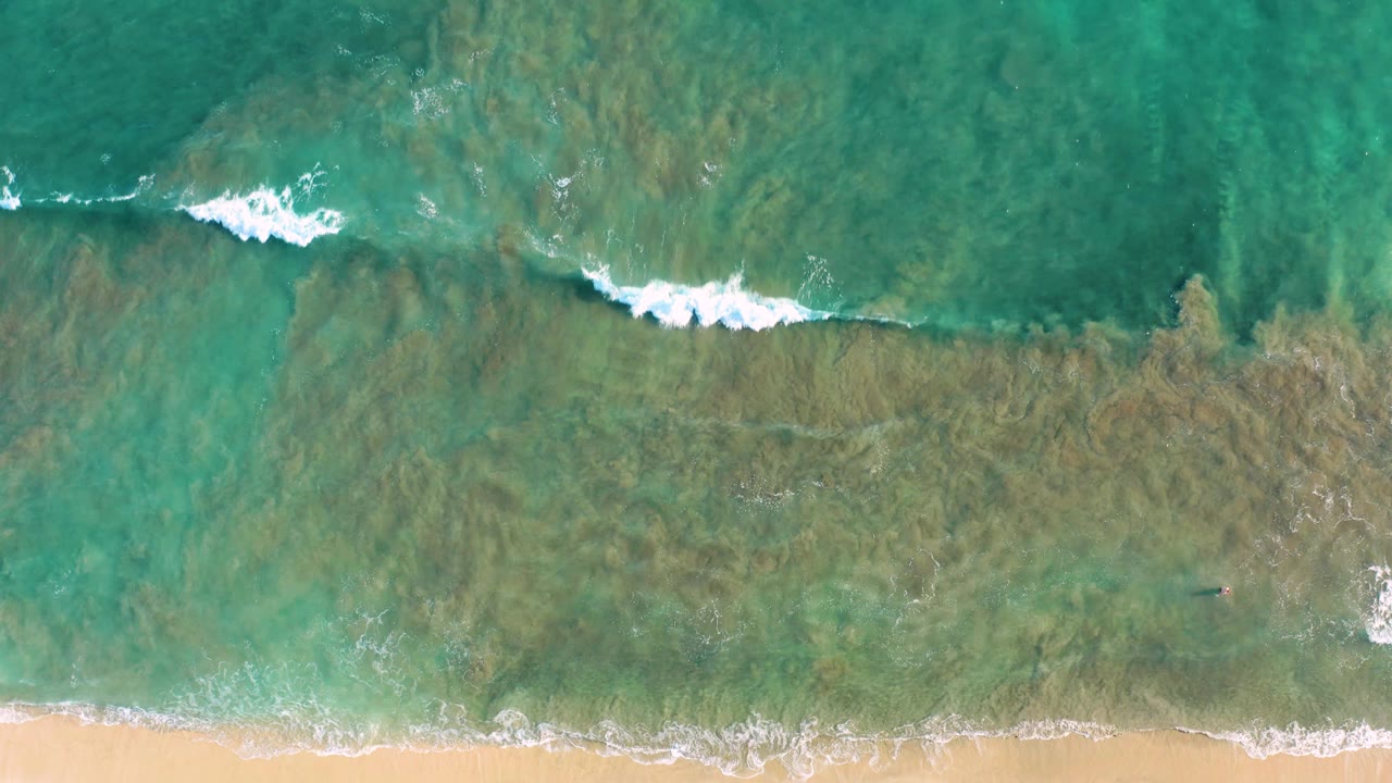 Straight-down San Jose del Cabo shoreline view with a small breaking wave, turquoise water above, mottled green shallows below, sand at the bottom, and no visible people.
