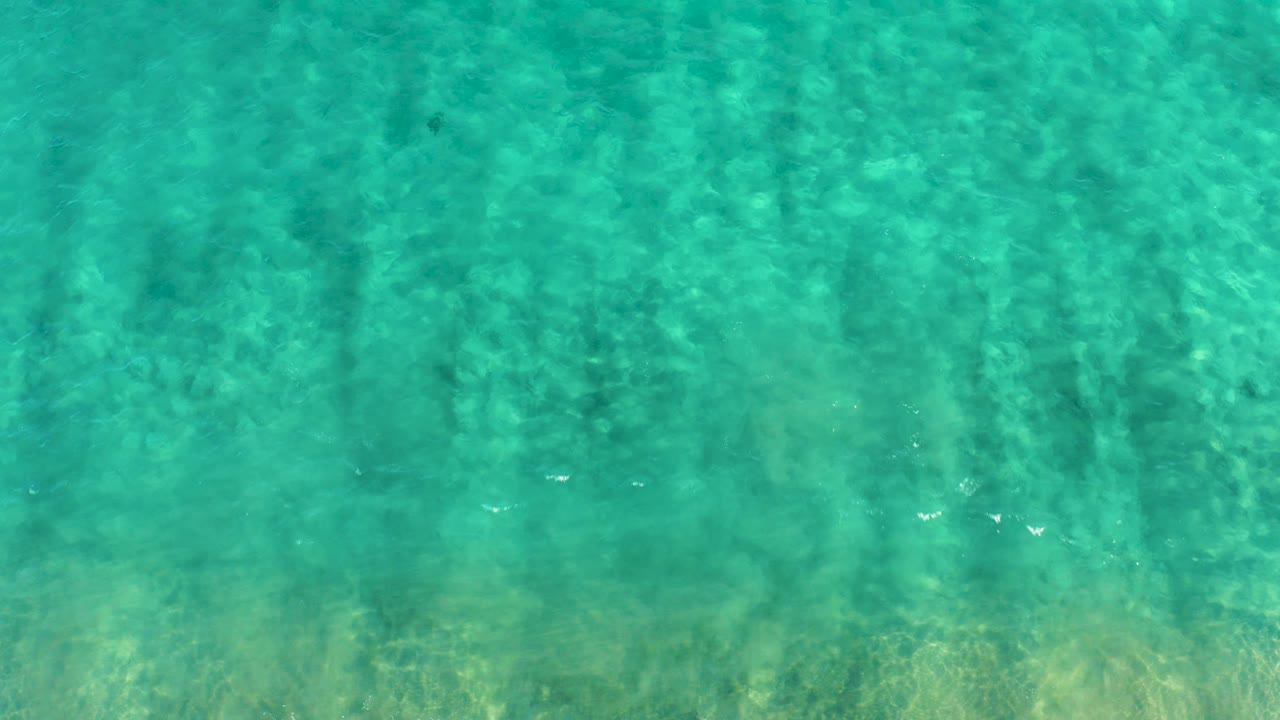 Overhead view of clear turquoise water in San Jose del Cabo with the seabed visible below, small fish near the center, and no visible people.