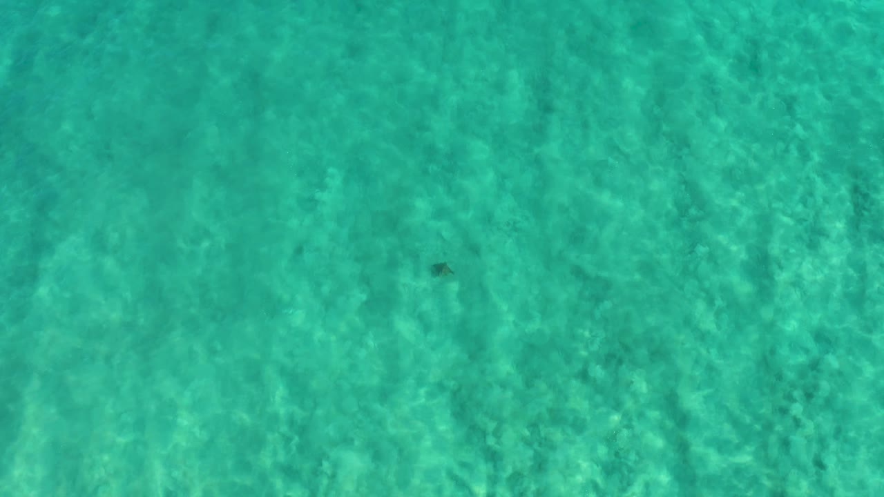 Top-down clear turquoise water in San Jose del Cabo, Mexico, with rippled light over a sandy bottom, a small dark fish shape near the upper area, and no visible people.