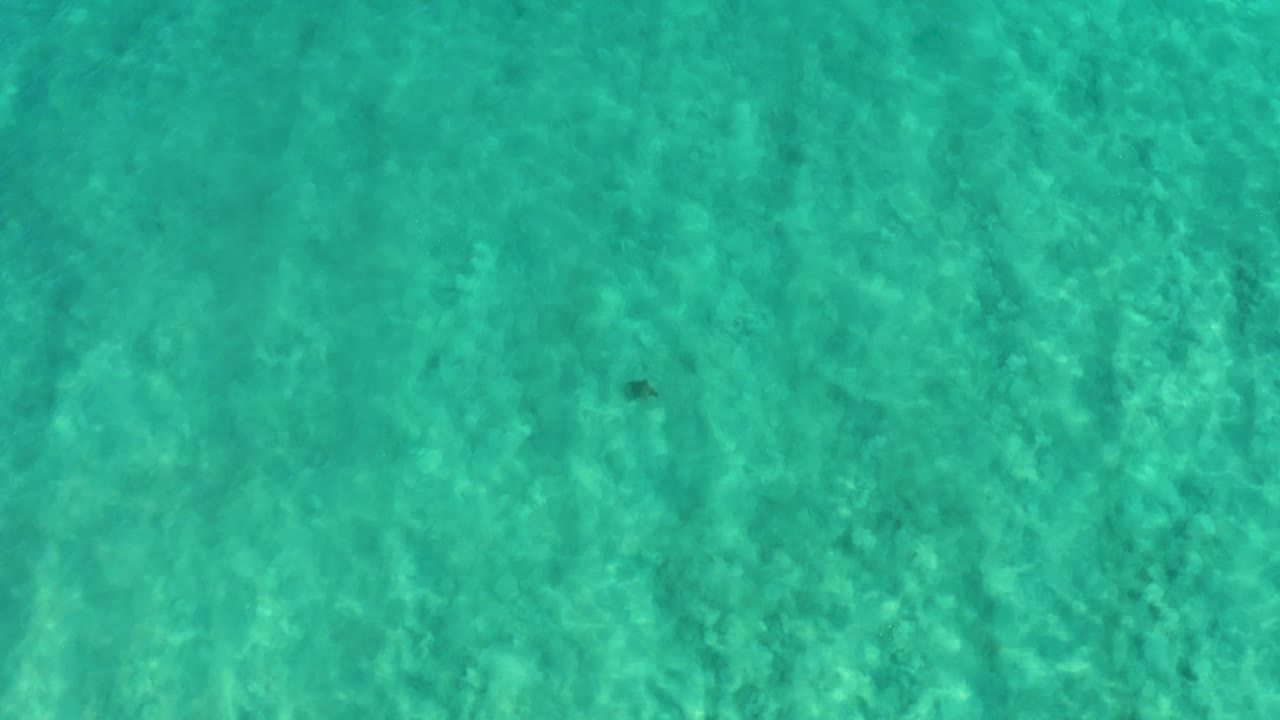 Clear turquoise water in San Jose del Cabo, Mexico, fills the frame with pale sand visible below, soft ripple texture, and no visible people.