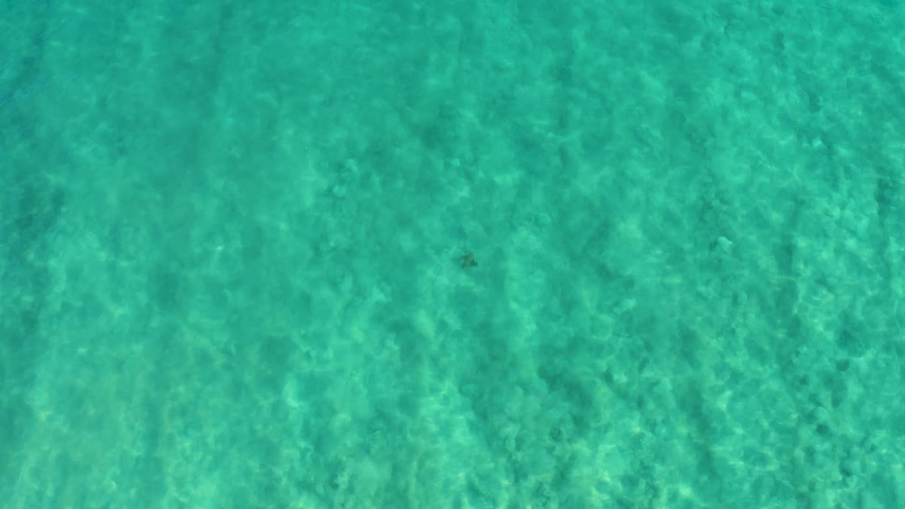 Overhead turquoise ocean water in San Jose del Cabo, Mexico, shows a small dark fish-like mark near the center area, textured sand below, and no visible people.