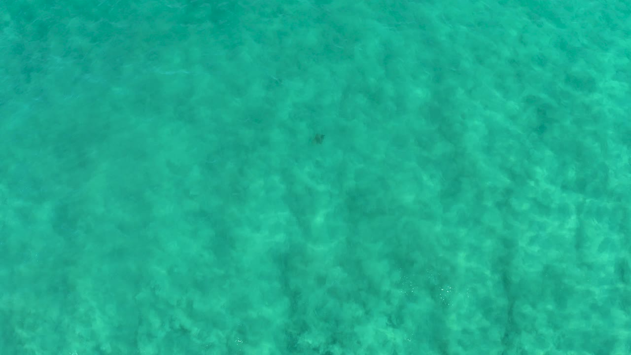 Clear turquoise shallow water in San Jose Del Cabo with soft surface ripples and no visible people at the opening moment.