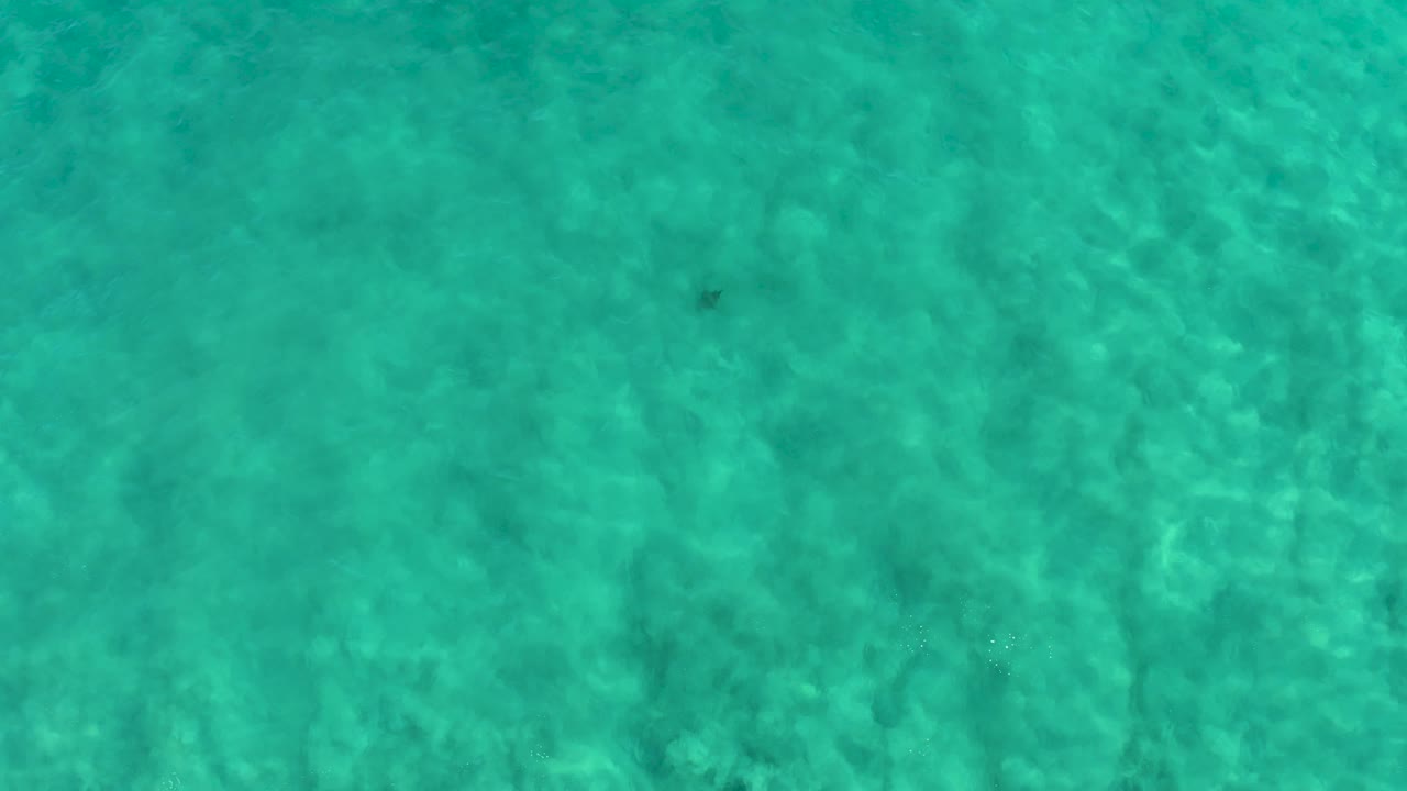 Blue-green shallow water in San Jose Del Cabo with a few small dark fish-like shapes visible against the rippled bottom and no visible people.