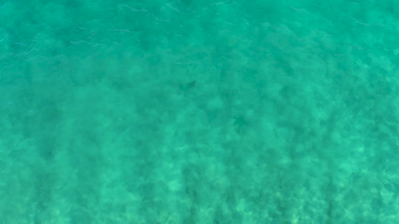 Turquoise shallow water with ripples over a sandy bottom.