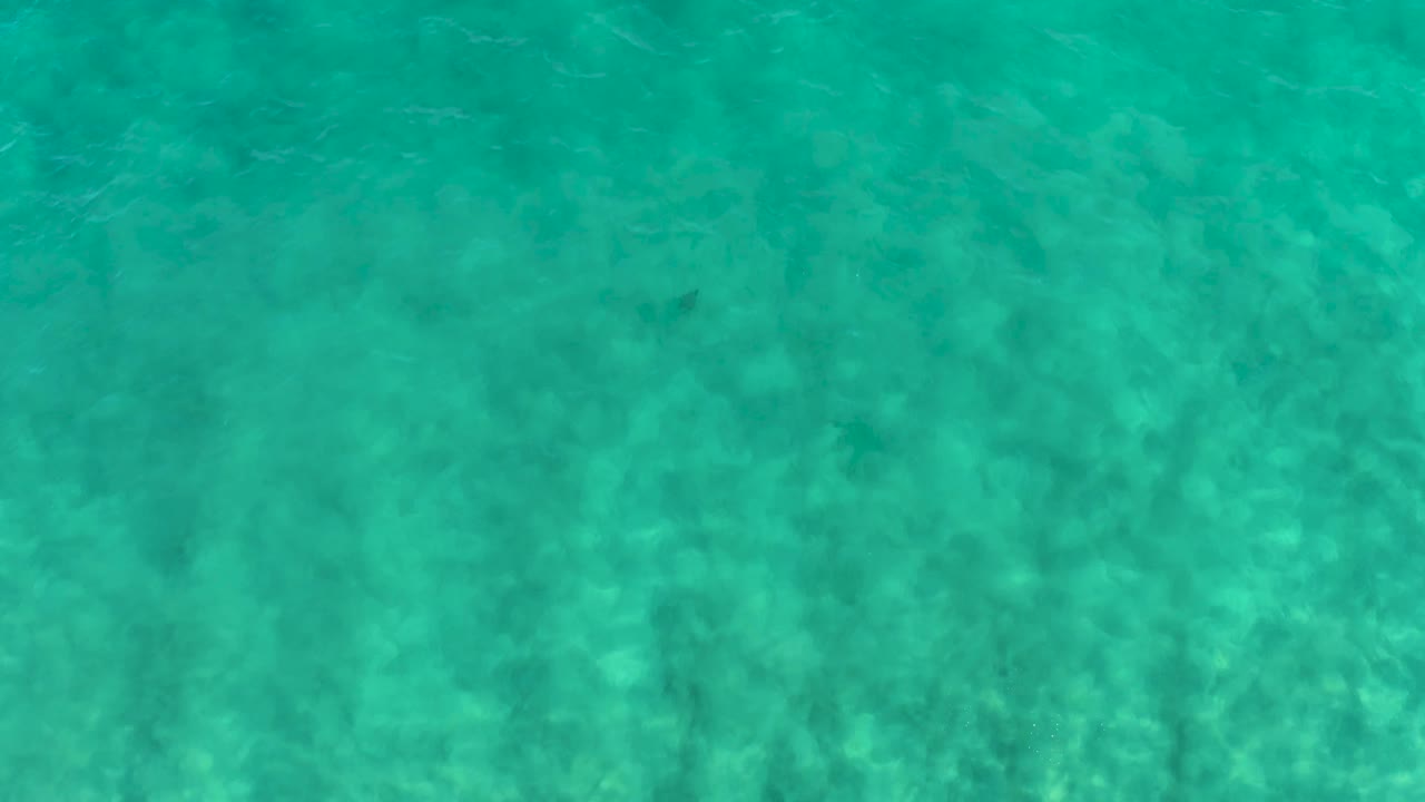 Clear blue-green water fills the frame in San Jose del Cabo, with faint darker underwater patches and no visible people.