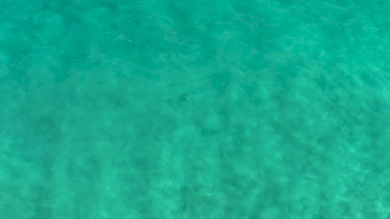 Mid-clip frame of calm turquoise water in San Jose del Cabo, where mottled sand texture is visible below the surface and no people appear.