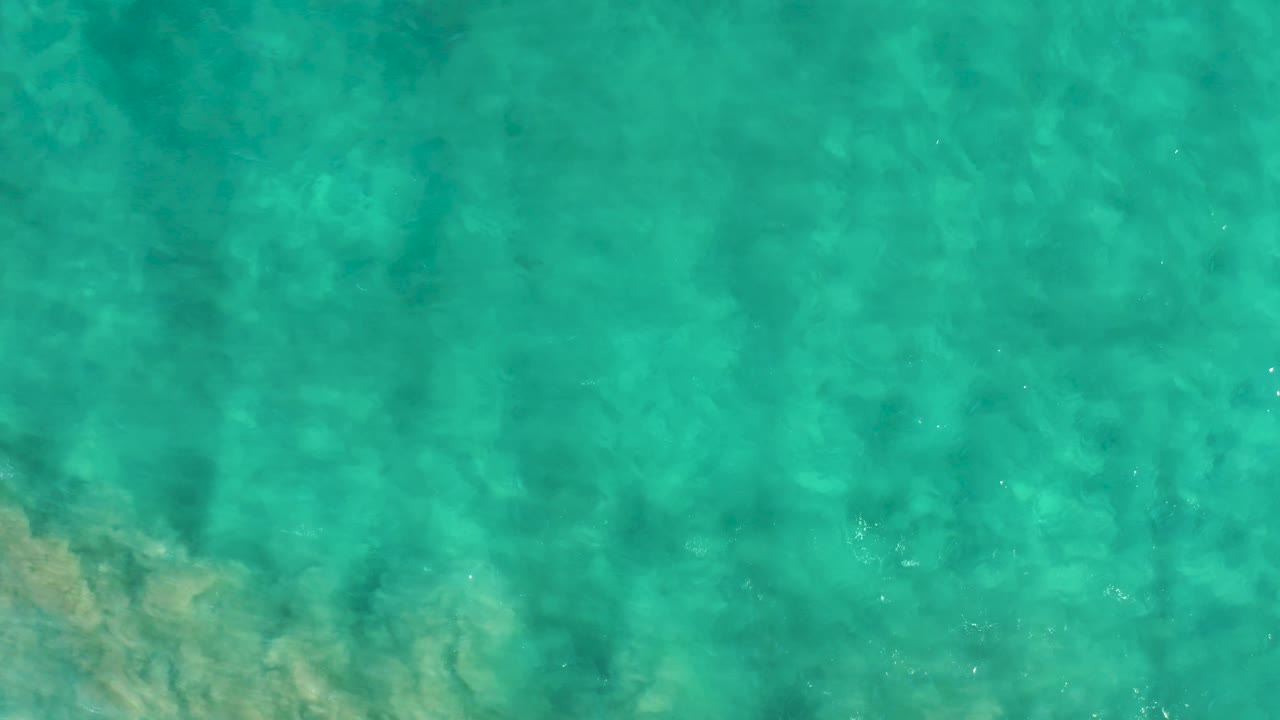 Shallow blue-green water in San Jose Del Cabo fills the frame with sandy patches visible below and no visible people.