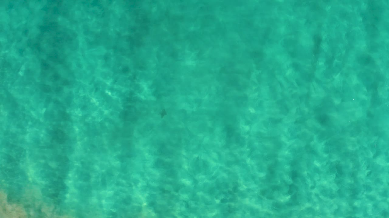 Top-down frame of clear turquoise shallow ocean water in San Jose Del Cabo, Mexico, with sun ripples over the visible seabed and no visible people.