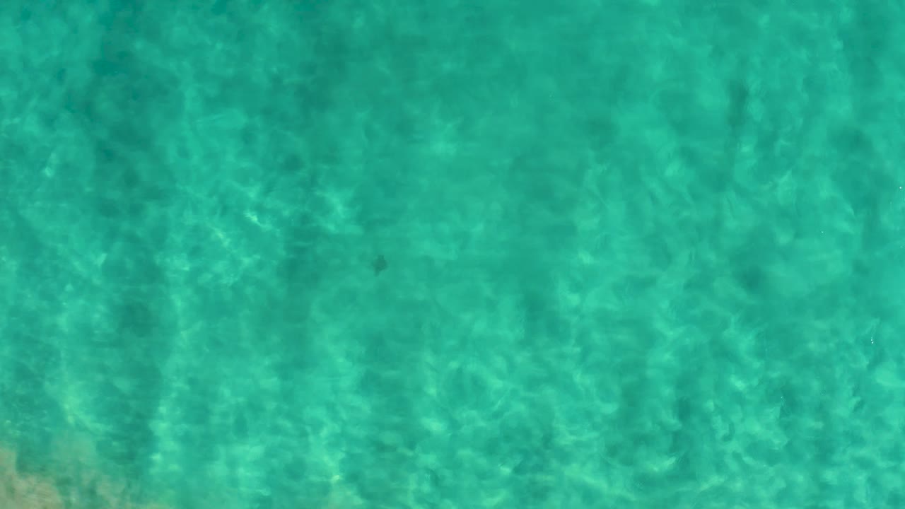 Clear green-blue shallow water in San Jose Del Cabo, Mexico, with shifting sun patterns and a pale sandy patch visible under the surface, no visible people.