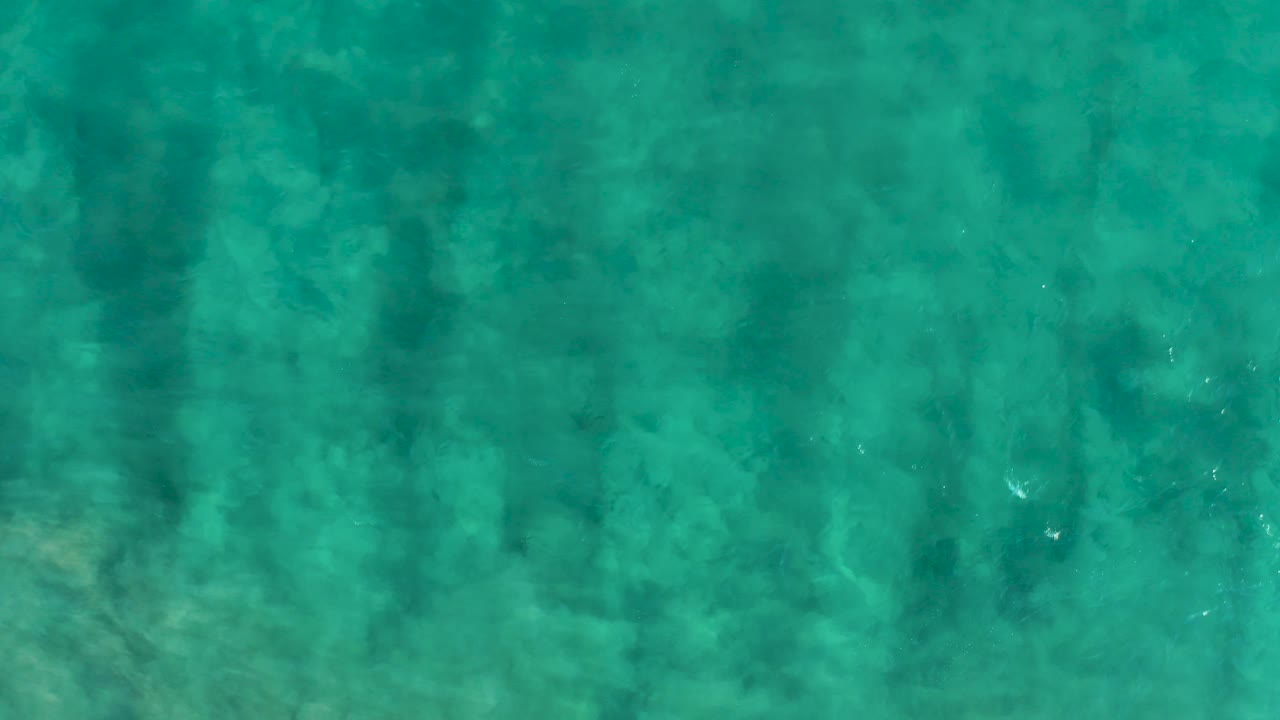 Overhead shallow ocean water in San Jose Del Cabo reveals mottled sand below the surface while vertical tree shadows pass through the frame and no people are visible.
